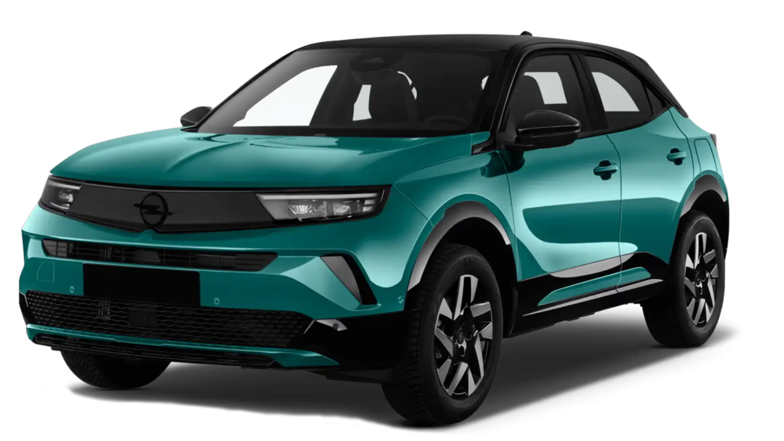 Mokka