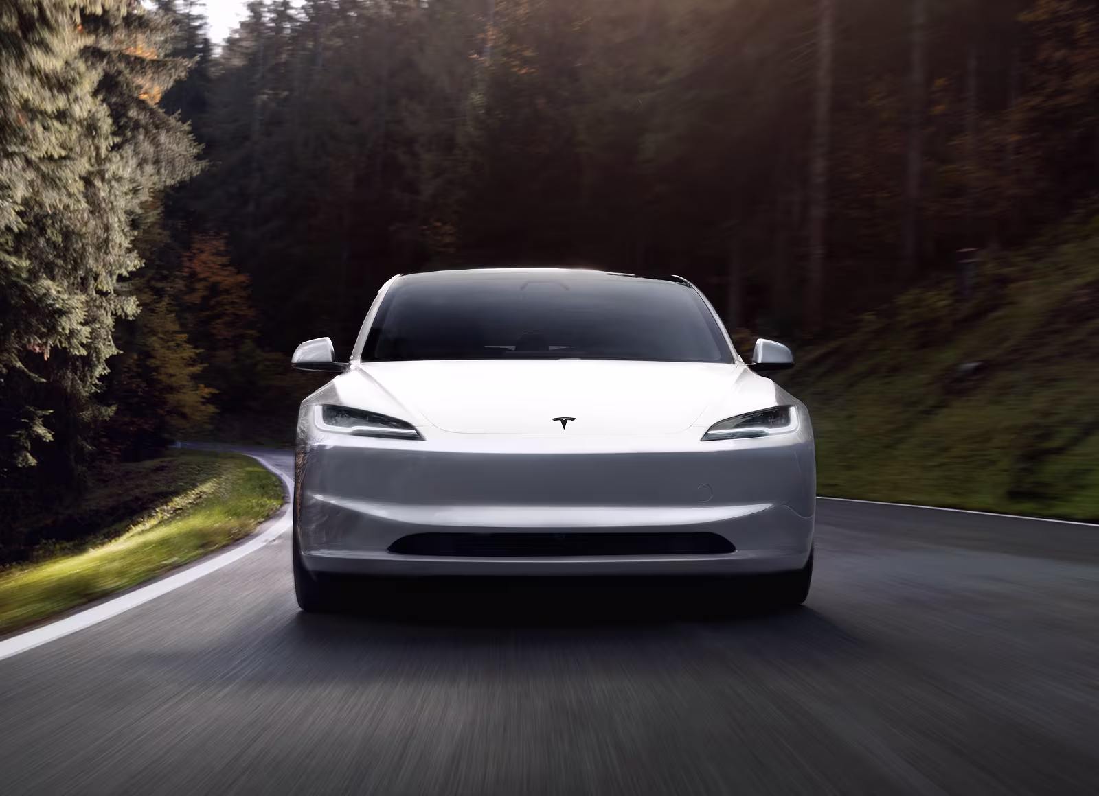 Tesla Model 3 Propulsion 208 kW